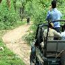 Sariska Tiger Reserve